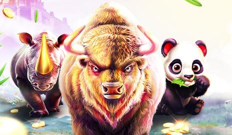 Pragmatic Play – Slot Turnamen