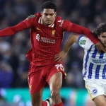 Prediksi Liverpool vs Brighton 11h00 02/11 EPL