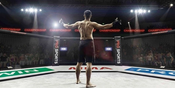 Taruhan MMA: Analisis Peluang dan Jenis Taruhan MMA