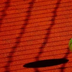 Taruhan Grand Slam: Lapangan Tanah Liat – Jebakan bagi Petaruh?
